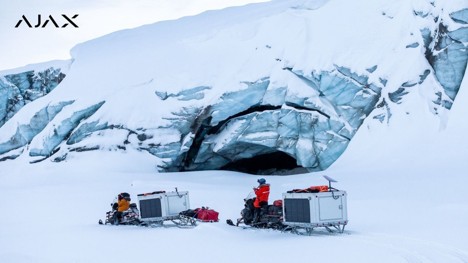 Polar bear alarm