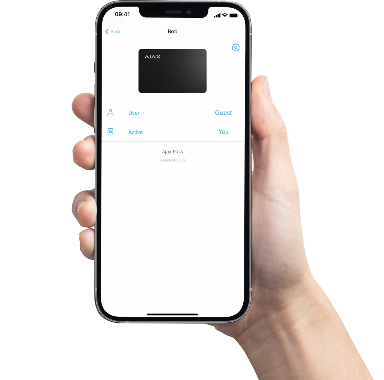 Flexible settings of access permissions