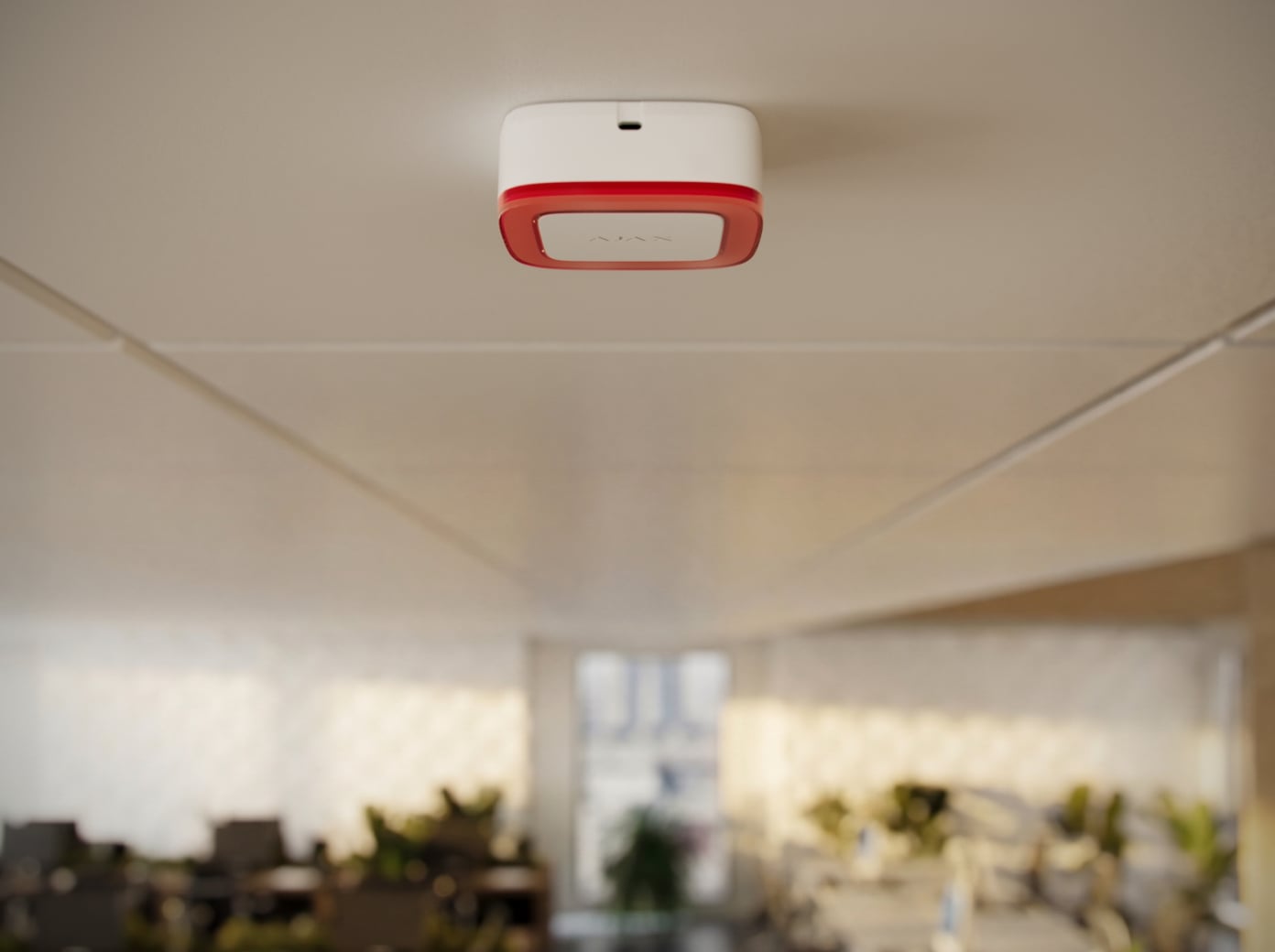 Sotto il controsoffitto