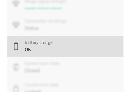 Battery remaining charge visibility