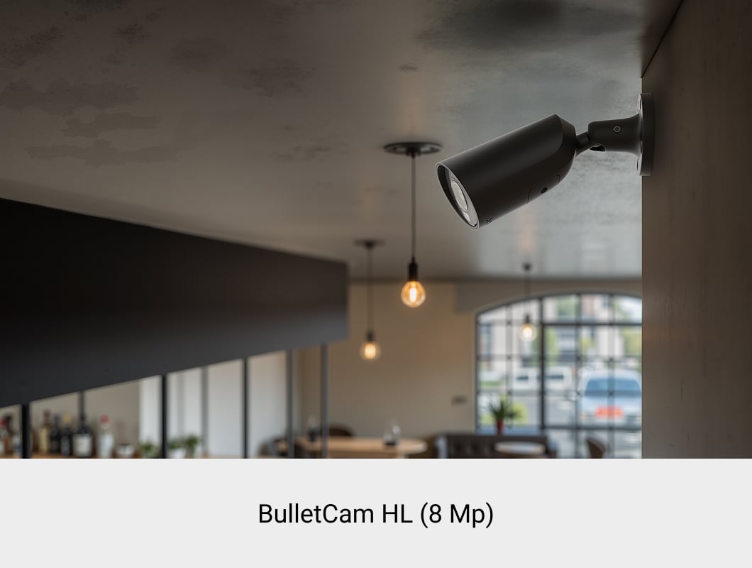 Bulletcam HL (8 Mp)