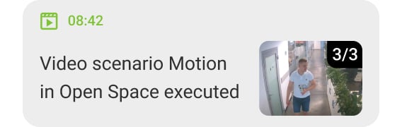 Instant alarm verification