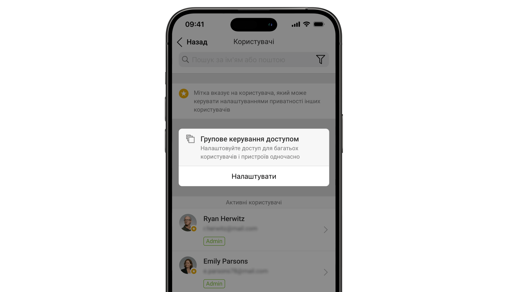 Bulk access management